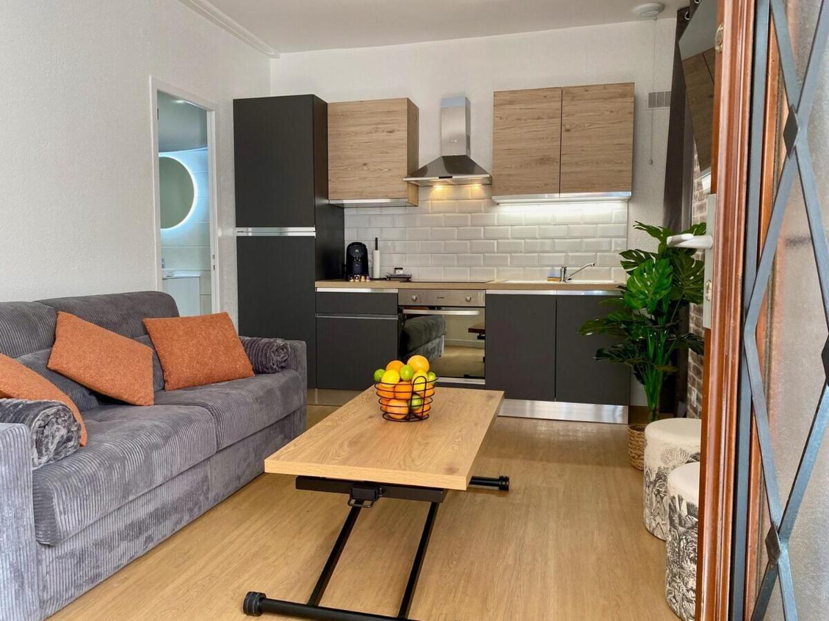 Les Logis D'Esmeralda-Des Appartements Au Charme Intemporel 罗莫朗坦 外观 照片
