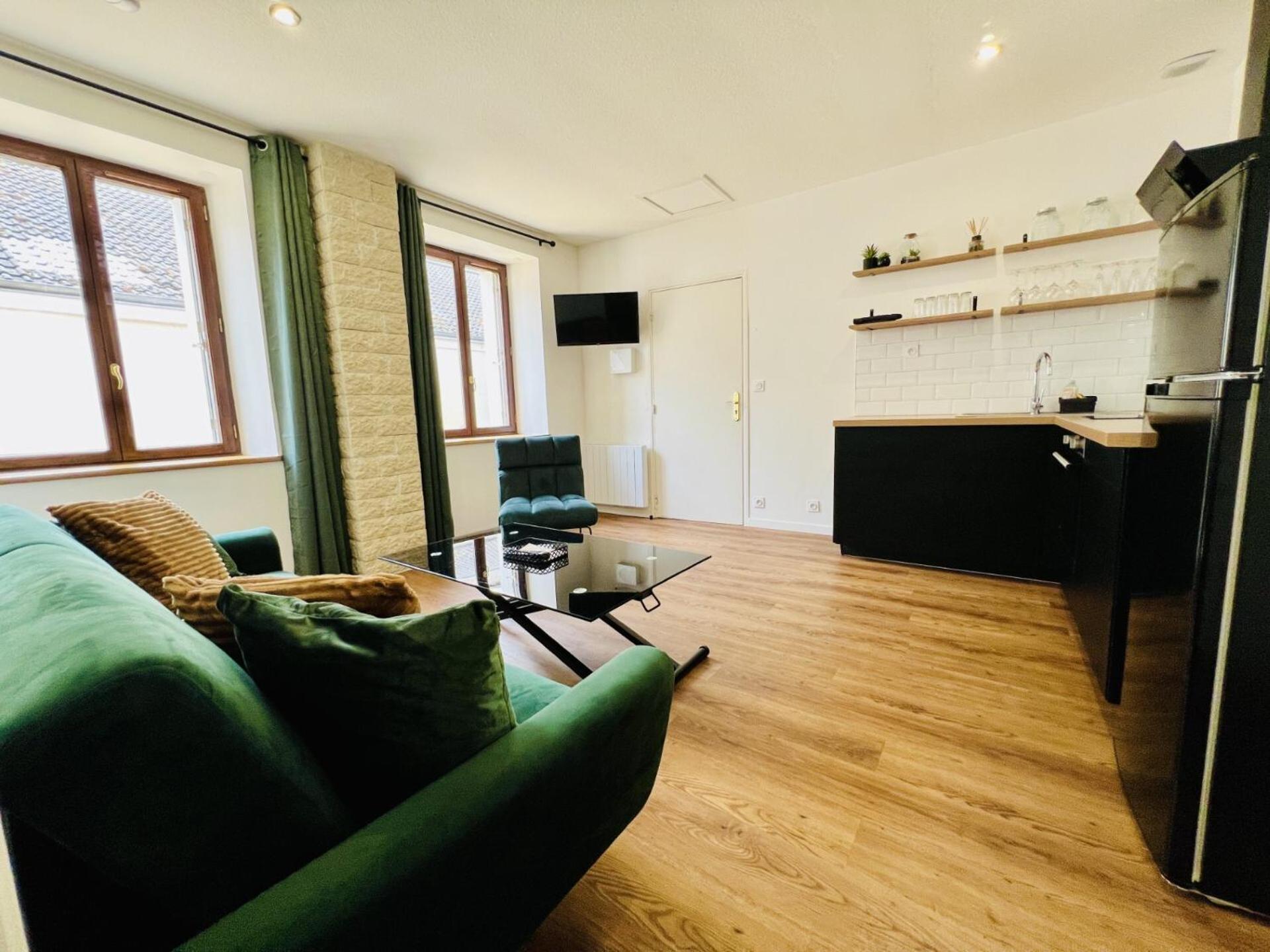 Les Logis D'Esmeralda-Des Appartements Au Charme Intemporel 罗莫朗坦 外观 照片