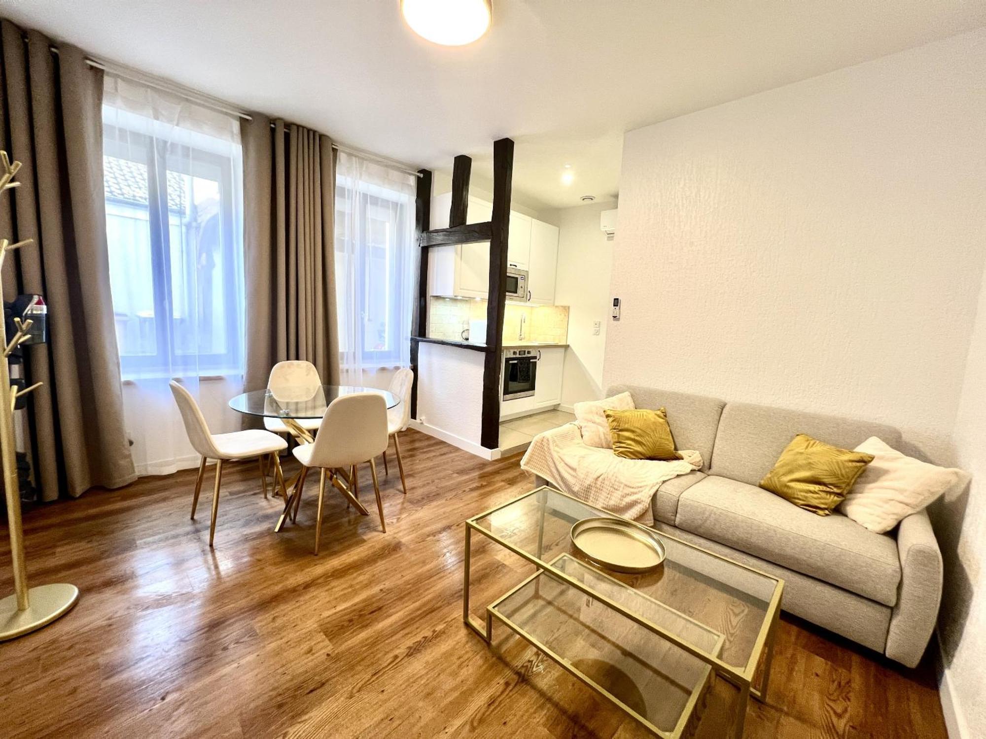 Les Logis D'Esmeralda-Des Appartements Au Charme Intemporel 罗莫朗坦 外观 照片